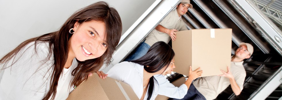 Professional Removalists Airly